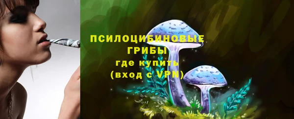 дживик Алексин