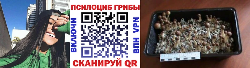 Псилоцибиновые грибы ЛСД  купить   Кулебаки 