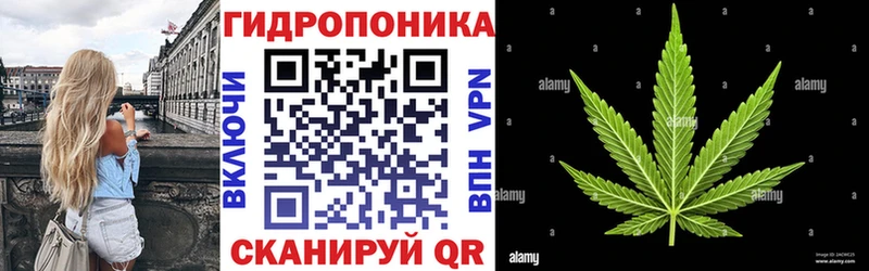 mega как войти  Кулебаки  Бошки марихуана Amnesia 